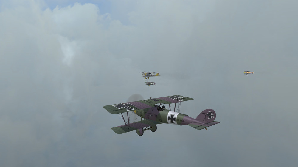 J10 Aug Pfalz.jpg