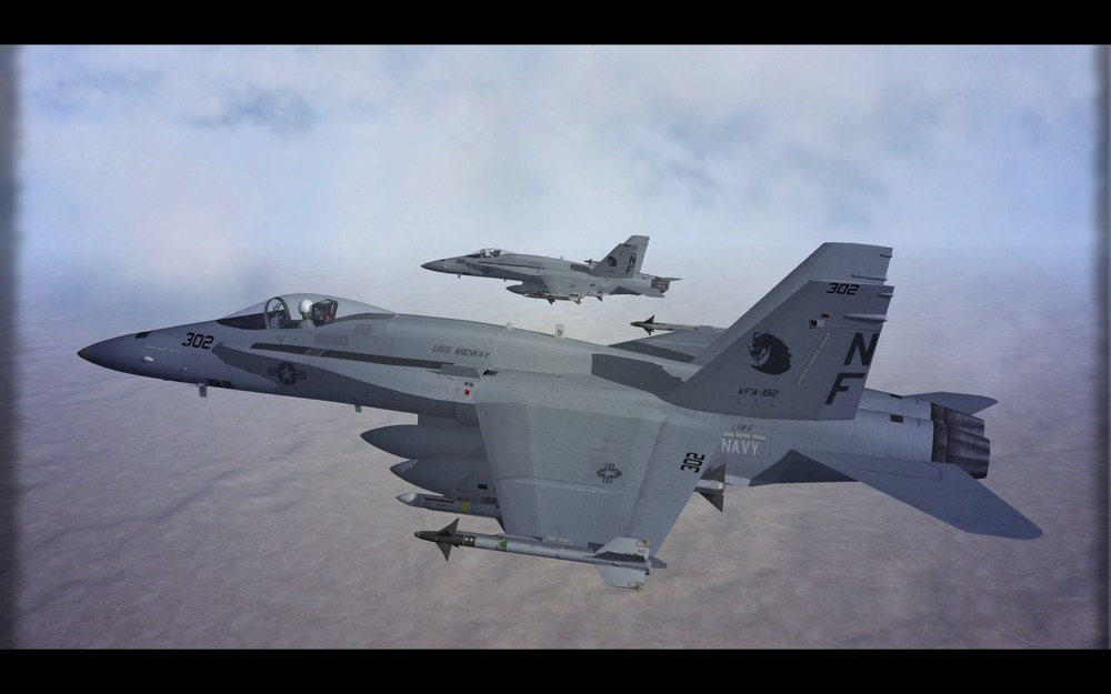 Hornet_VFA-192.thumb.jpg.2a0955ce806a953816776e5b03d808d0.jpg