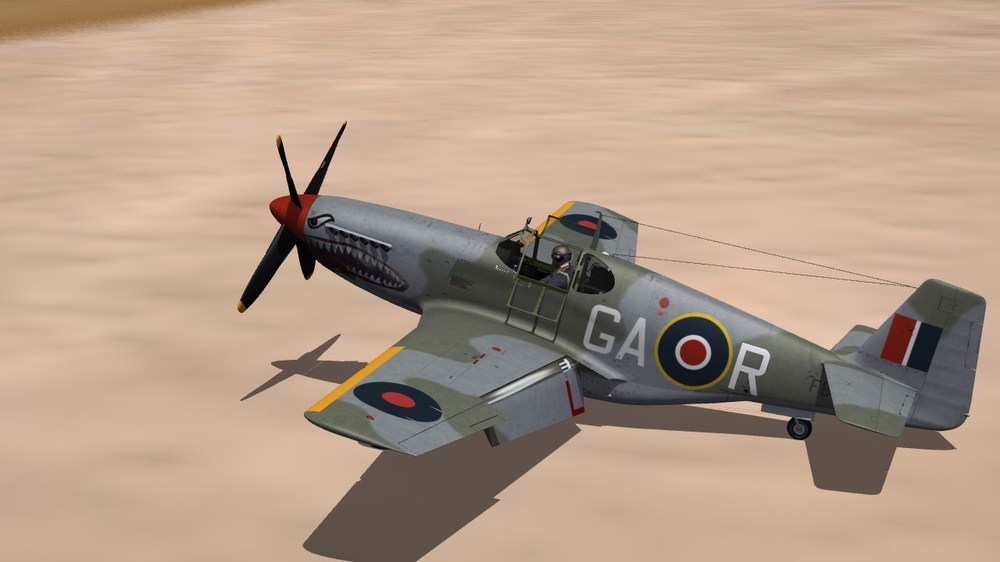 No. 112 Sqn. RAF.JPG