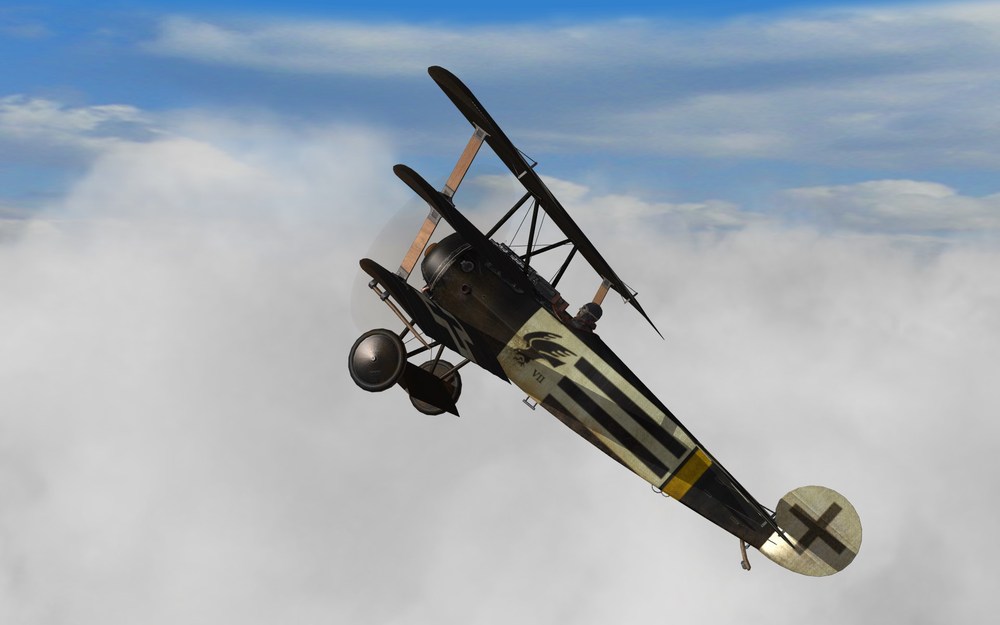 BLACK FALCON 06.jpg