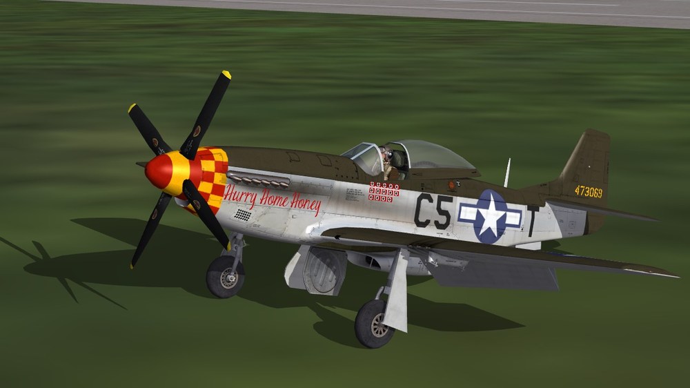 364th FS.JPG