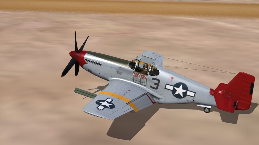 100th FS (2).JPG