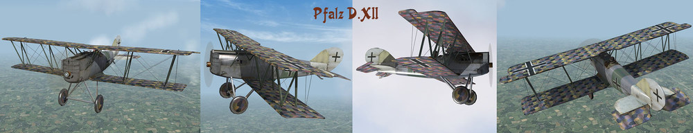 Pfalz_DXII.jpg