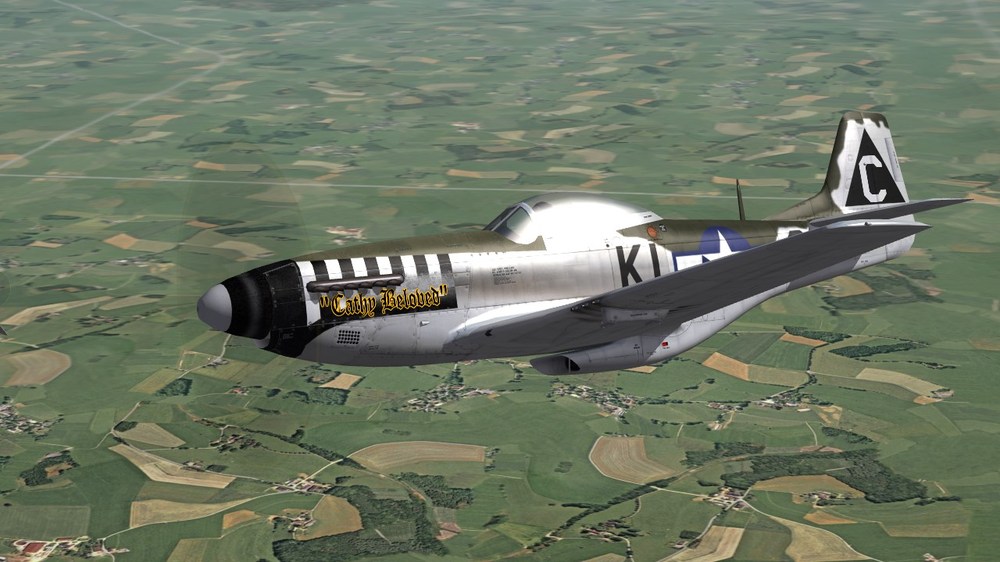 55th FS.JPG