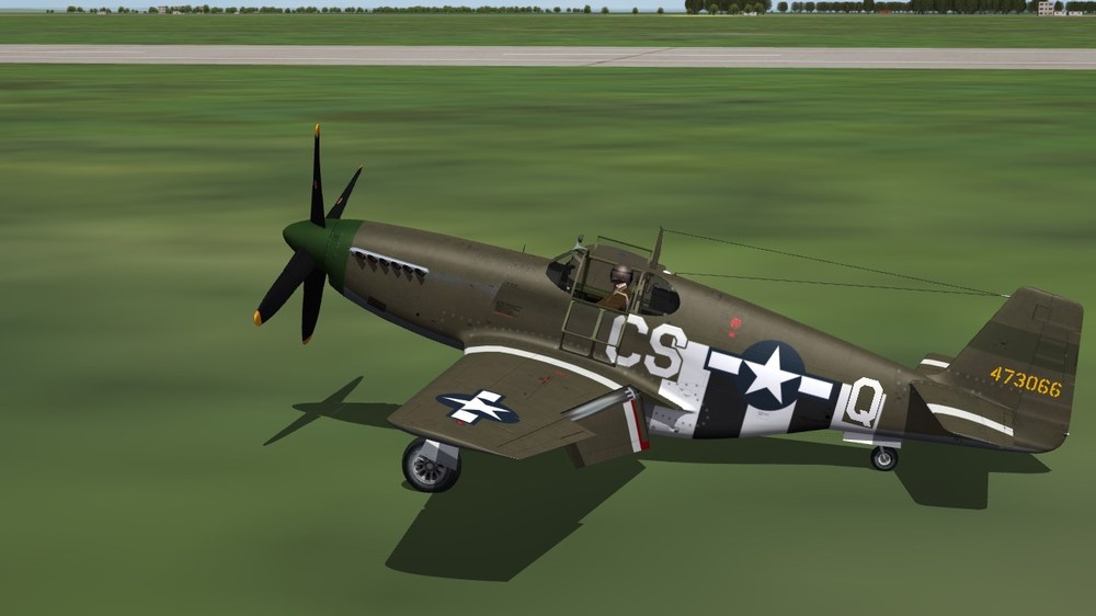 370th FS.JPG