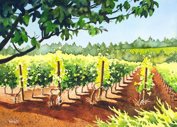 vineyard.jpg.a1ad2b28f9cedebfce6bfd75be8d3e76.jpg