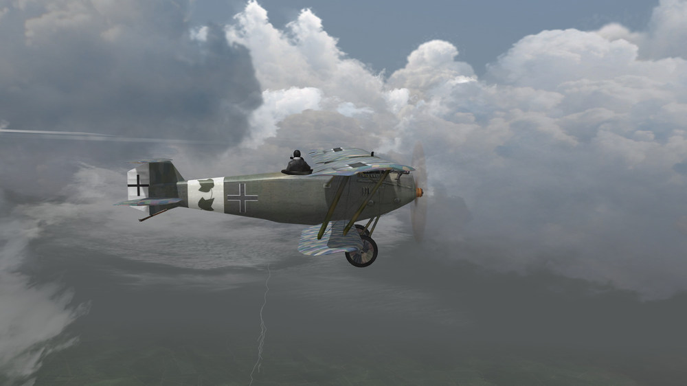 NEW FAA266 Hannover 1918  leaf.jpg
