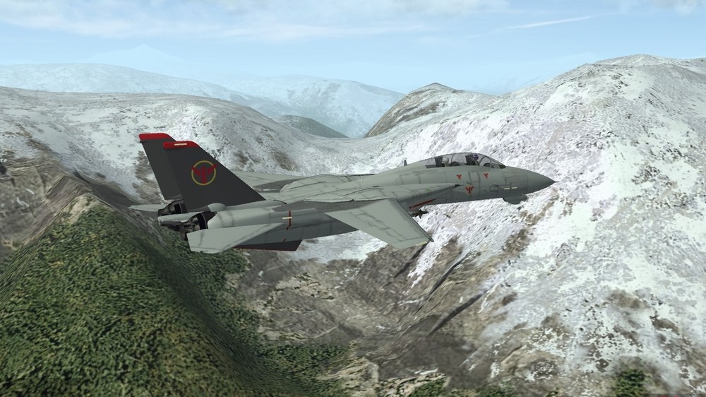 F-14.thumb.jpg.6ef87a55875a51ee72524dcb51bd59fe.jpg