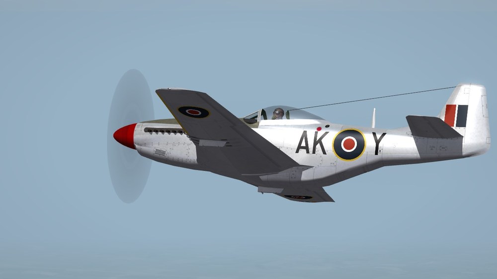 No. 213 Sqn. RAF.JPG