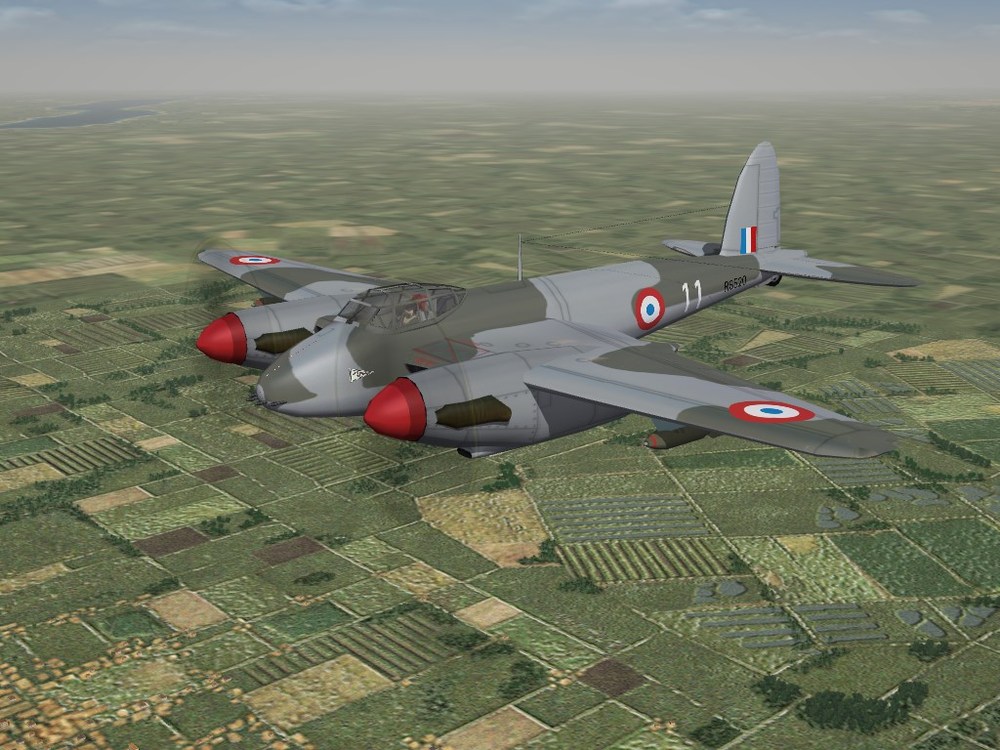gc1-6_mossi-fb6.JPG