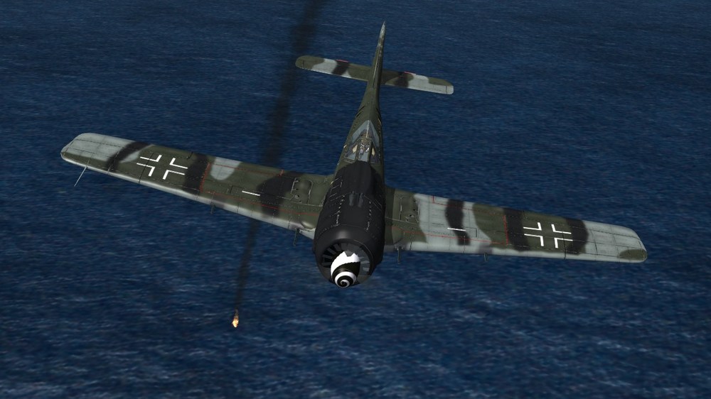 II SG2 (2).JPG
