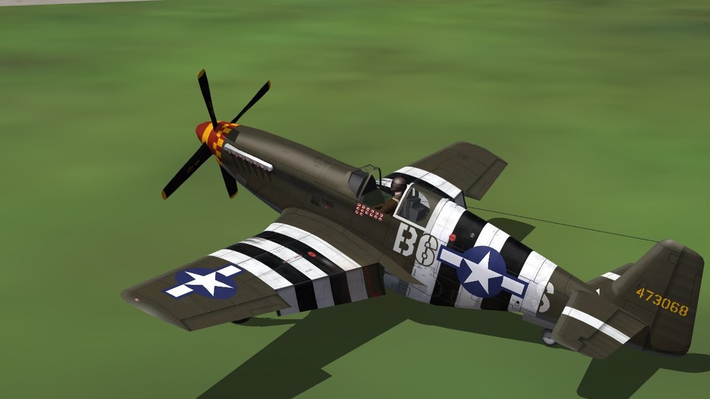 363rd FS (P-51C).JPG