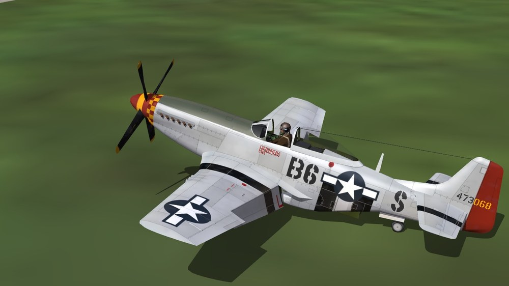 363rd FS (P-51D).JPG
