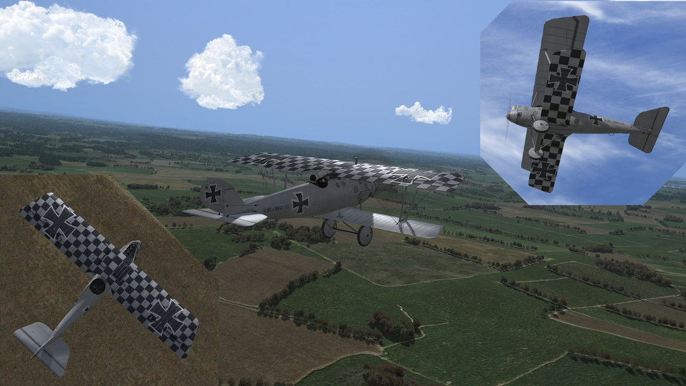 J0 Pfalz check wing.jpg
