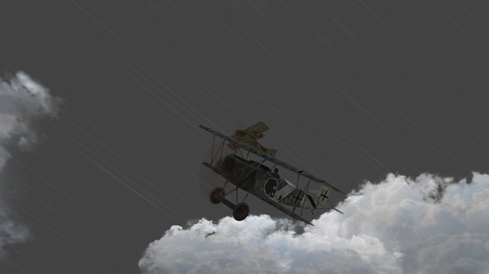 J50 DVIIOAW Schadel a.jpg