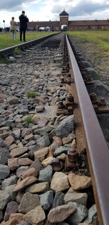 20220929_142724.thumb.jpg.7ec31a92196b79b4525c89917a67c721.jpg