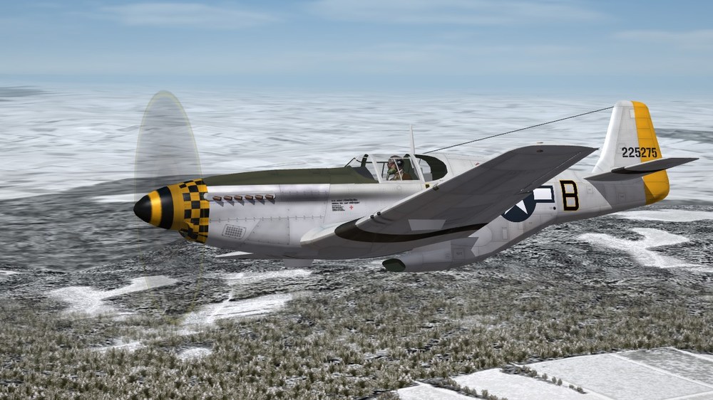 350th FS.JPG