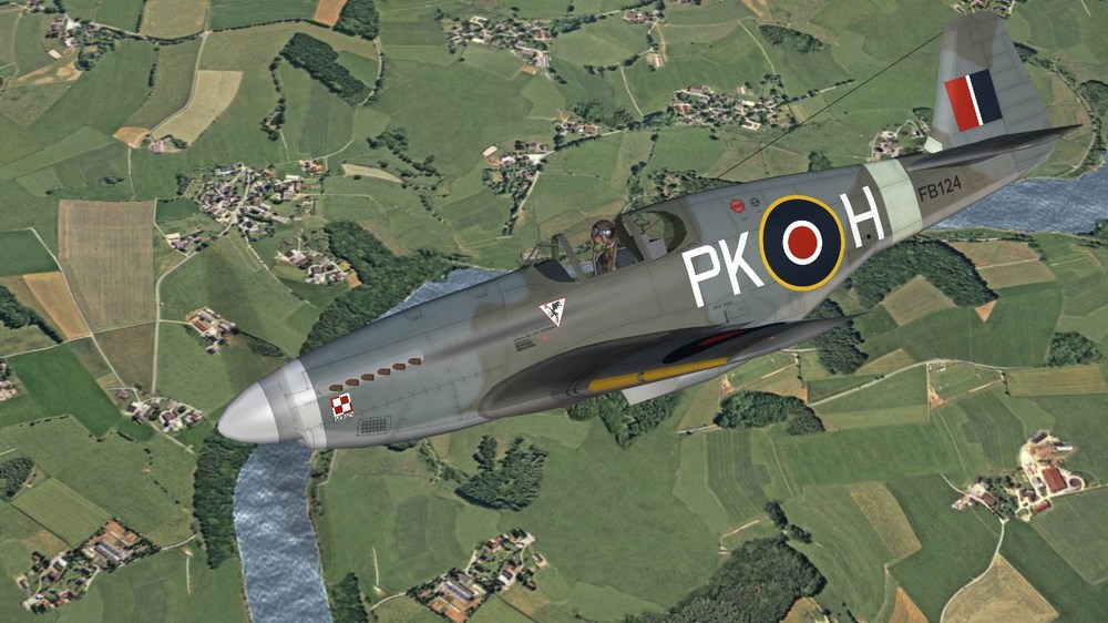 No. 315 Sqn. RAF (camo).JPG