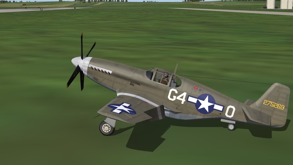 362nd FS (P-51B).JPG
