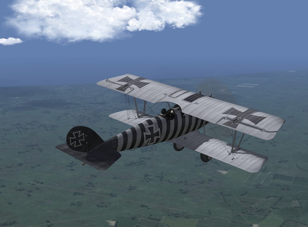 NEW J16 Pfalz Personal Zebra.jpg