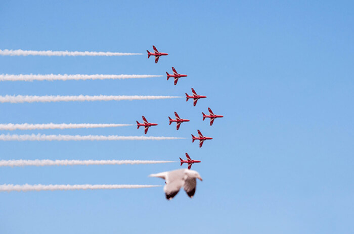 Formation.jpeg.343b29d8b1ffbe9a80af2720f722e080.jpeg