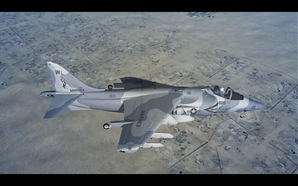 harrier.thumb.jpg.3c7edda36c96c08fc9740ba42226daa3.jpg