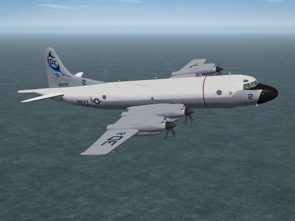 p3c-vp40.JPG