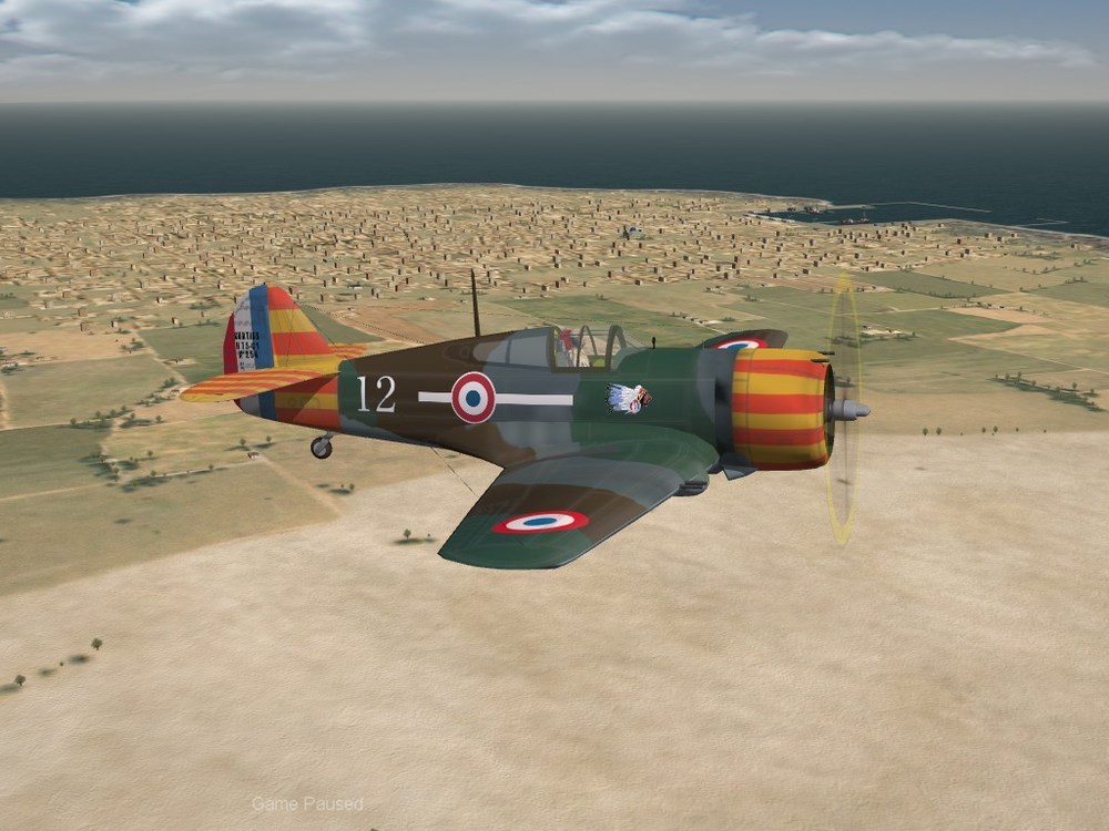 vichy-hawk75.JPG
