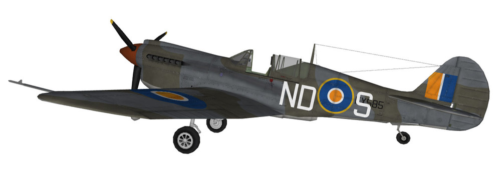 06-saaf-dfs-11sqn.jpg