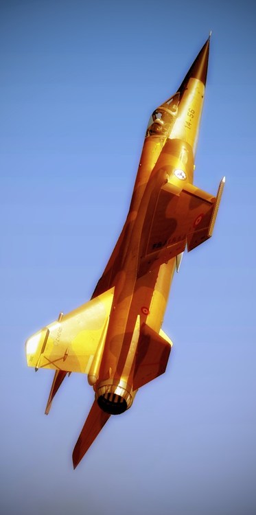 img00017.jpg