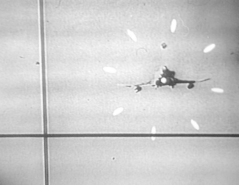 6568e14a4e681_PhantomimVisier.jpg.3777b6b17e6f0efb5d27037e8ee34025.jpg