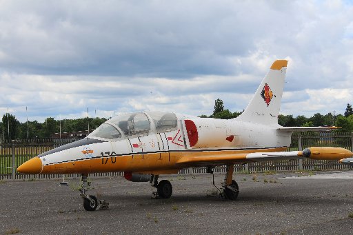 656b55cfbd734_L-39VBild1DieL-39VwardasZieldarstellungsflugzeugder80erJahreFotoNormann.JPG.b7502e151fa4d2c2fd1556100aa5ea8d.JPG