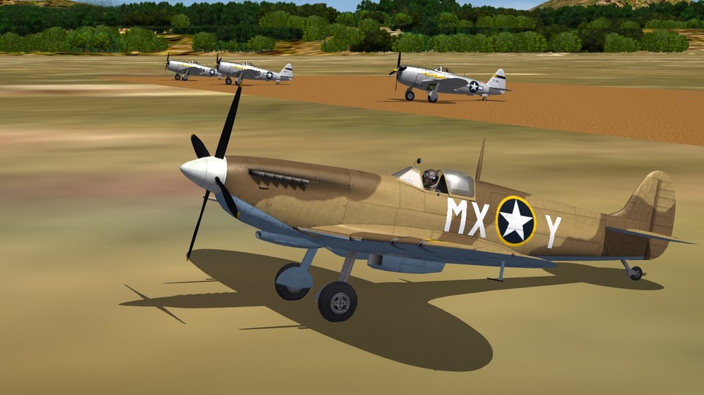 307th FS.JPG
