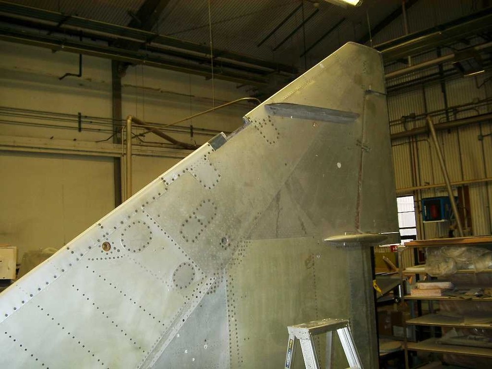 wing_s.thumb.jpg.e09493597751109333df2f4244781c2e.jpg
