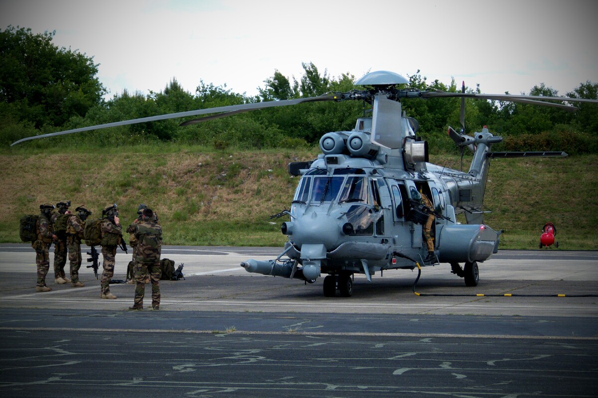 Caracal(5).thumb.jpg.0ca06d4687850629f0b58e689d94021b.jpg
