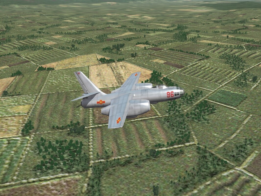 vpaf_beagle.JPG