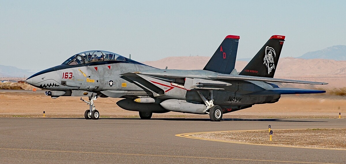 F-14 Returns to the Sky (maybe)