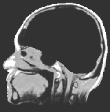 post-2019-1188661719_thumb.gif