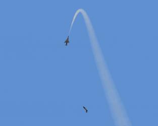 img00019.jpg
