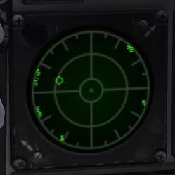 kfir.jpg