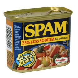 SPamSodium_1.jpg