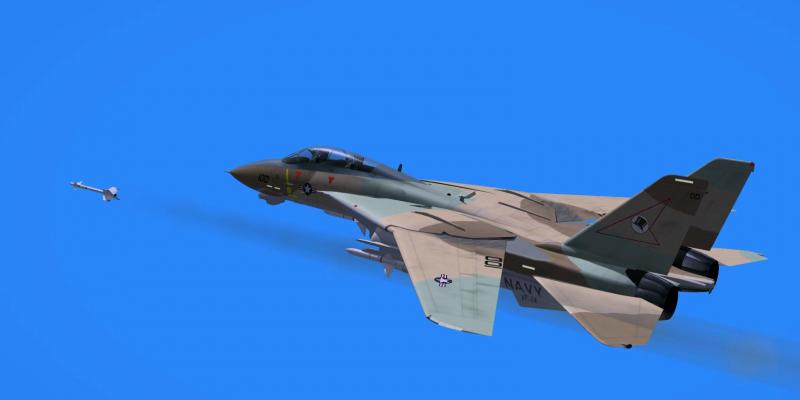 USN F-14I 1.jpg