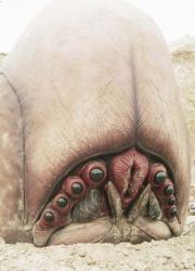 post-5-1092985005_thumb.jpg