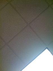 cieling.jpg