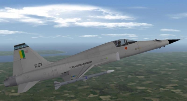 F-5E FAB Skin