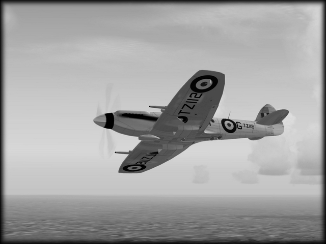 Spitfire MkXIVe 02.jpg