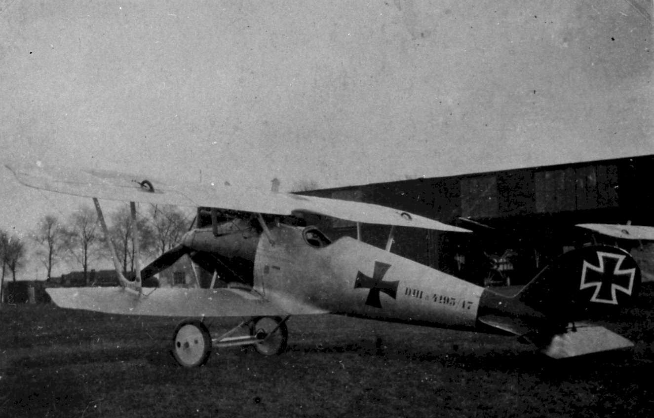 Kempf's Pfalz D.IIIa