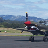 P-40.JPG