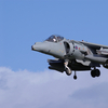 Harrierspecial_1.jpg