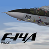 F-14A "userbar"